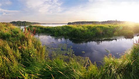 Wetlands | Physical Geography