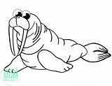 Free Printable Walrus Template – Simple Mom Project sketch template