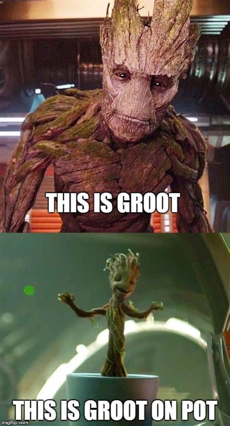 33 Funniest Groot Memes That Will Make Him The Most Adorable Character | Memes, Funny, Groot