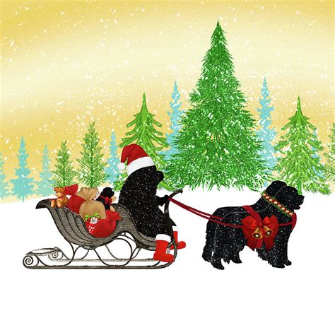 Newfoundland Dog Christmas Digital Art by Christine Mullis - Pixels