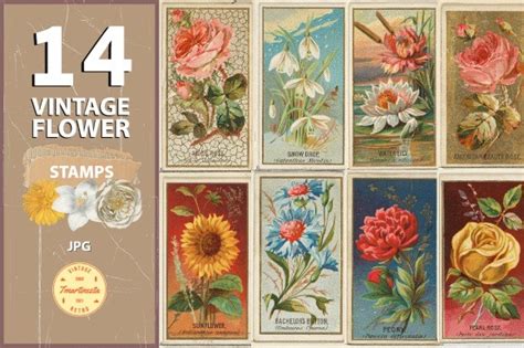 Vintage Flower Stamps Graphic by tmartinezta · Creative Fabrica