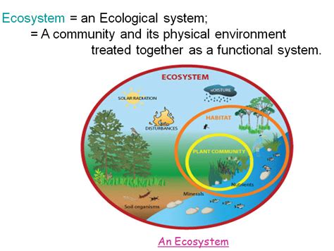 Ecosystem an overview – Community Health Nursing PPT – Nursing Powerpoint Presentations