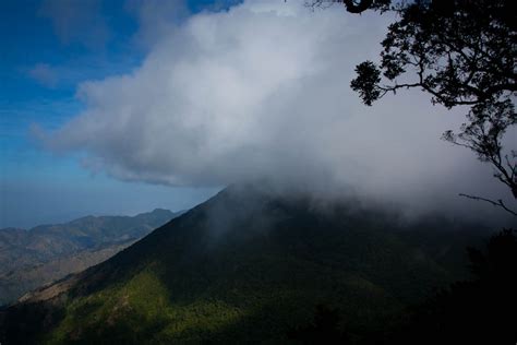 Hiking Blue Mountain Peak in Jamaica 2024-2025 - Rove.me