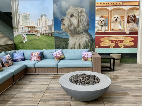 California Hotels With Dog Parks : DOG FRIENDLY TRAVEL