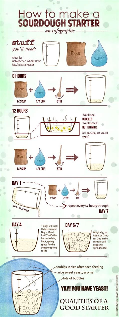 27 Beautiful Infographics that teach you how to cook in 2020 | Sourdough recipes, Yeast starter ...