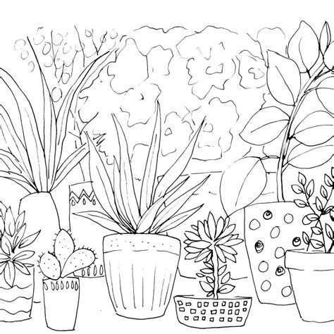 Update more than 83 indoor plants sketch best - seven.edu.vn