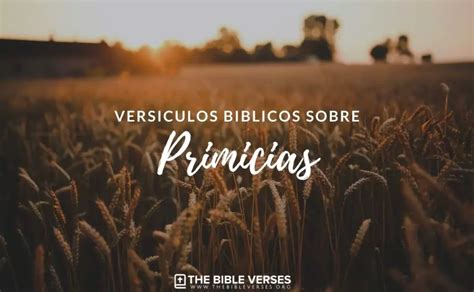 10 Versículos de la Biblia sobre las Primicias - Textos Bíblicos