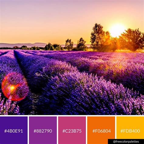 Sunset Color Palette Sunset Color Palette, Brand Color Palette, Colour Pallette, Color Palate ...