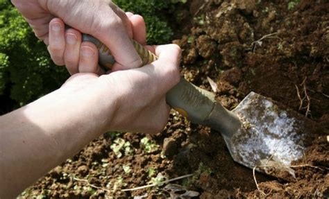 Soil Sample Testing - How To Take A Soil Sample