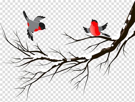 winter birds snow clipart 10 free Cliparts | Download images on Clipground 2024