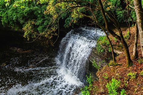 The Newest Metro Park Has A 25-Foot Waterfall And It Opens Later This Month