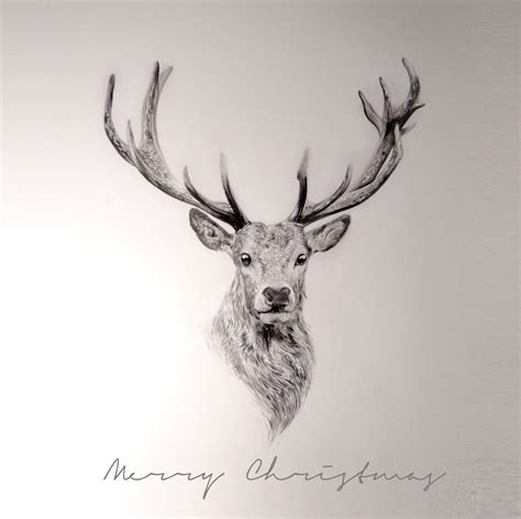 Reindeer Graphite in Strathmore Bristol Paper. #reindeer #christmas #art Reindeer Tattoo ...