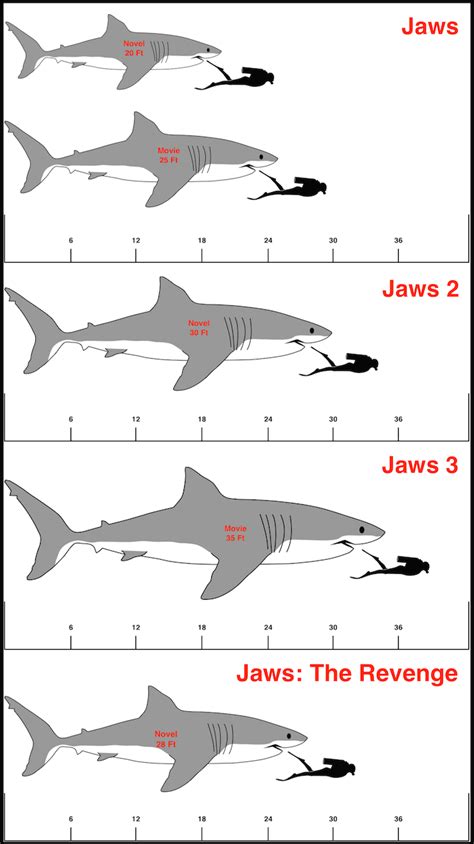 Dead Man's Brain: Jaws: How big was that shark?