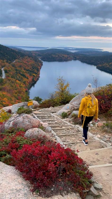 See the fall colors in acadia national park – Artofit