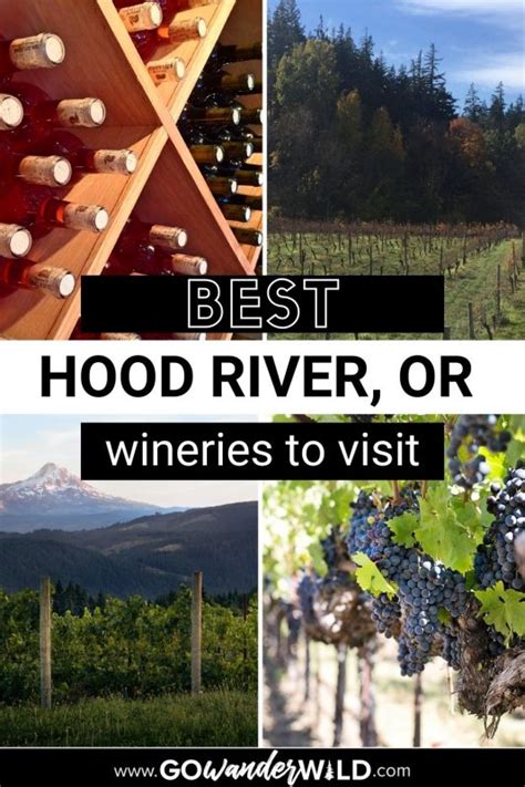 12 Best Hood River Wineries to Visit in Northern Oregon - Go Wander Wild