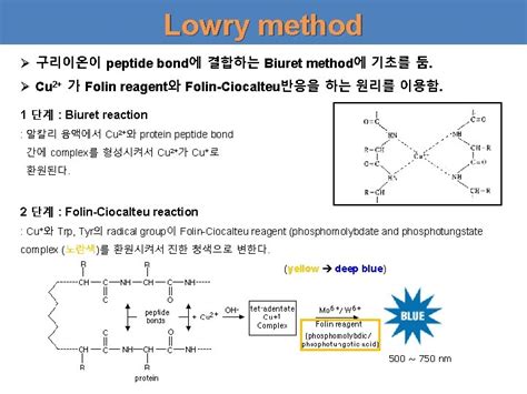 Protein concentration determination hoonlimyonsei ac kr S 338