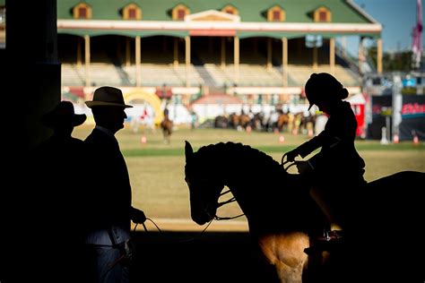 Must Do Ekka Animals | Must Do Brisbane