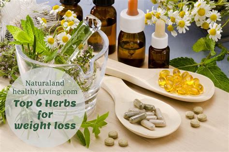 Top 6 Herbs for weight Loss - Natural and Healthy Living