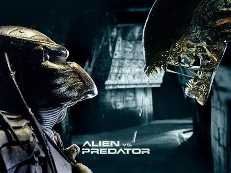 Alien vs Predator Wallpapers - Top Free Alien vs Predator Backgrounds ...