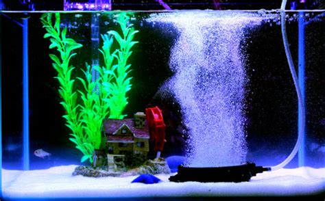 9.3. Airstone Aeration in the Aquarium