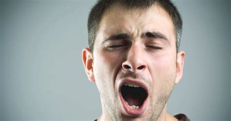 Study Suggests Yawning May Be Linked to Brain Cooling | Big Ideas Blog