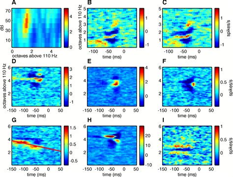 Optimizing Sound Features for Cortical Neurons | Science