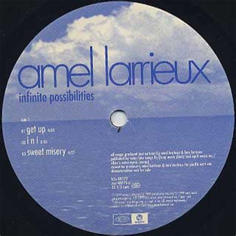 Amel Larrieux / Infinite Possibilities (LP), Sony | 中古レコード通販 大阪 Root ...