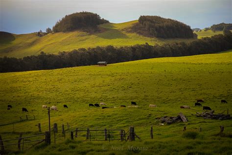 Kohala Mountains in Hawaii, Travel Photo Mondays #6 - Travel Photo Discovery