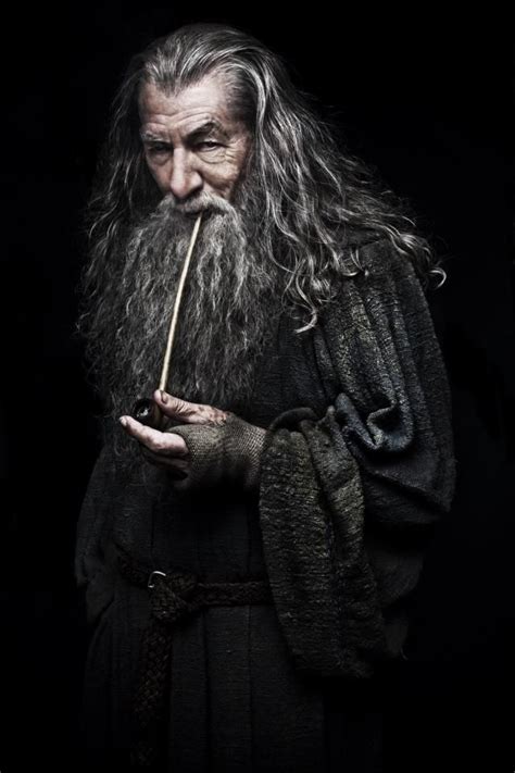 Gandalf the Grey. | The hobbit, Gandalf, Gandalf the grey