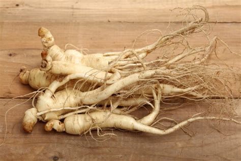 Ginseng Root Benefits - Improves Sexual Capabilities