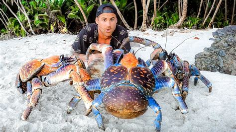 Exploring For Giant Coconut Crabs - Are They Man Eaters?