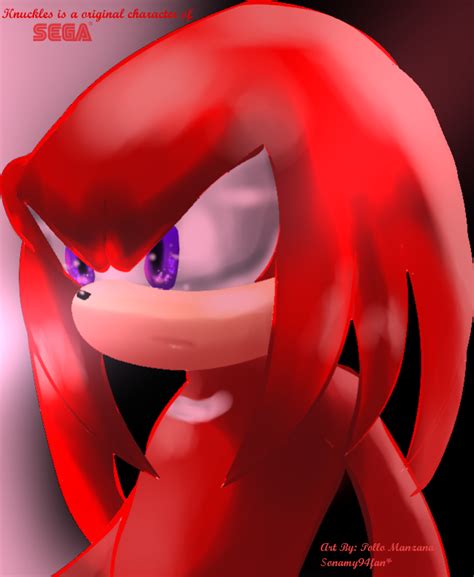 Knuckles Fan Art by sonamy94fan on DeviantArt