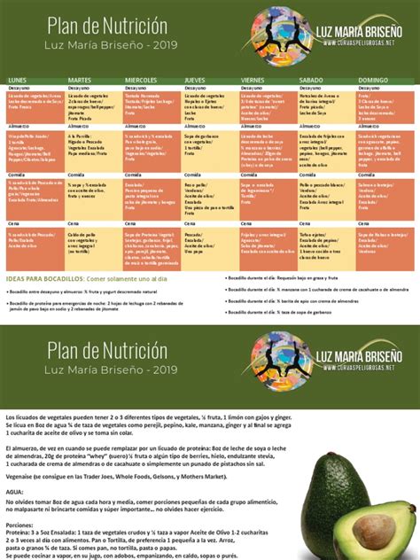 Plan de Nutricion Luz Maria Briseno 2019 | PDF | ensalada | Almuerzo