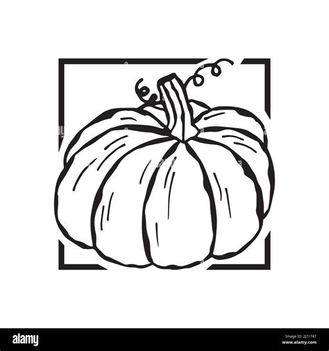 Vector fashion illustration of a pumpkin. Trendy minimalistic poster ...