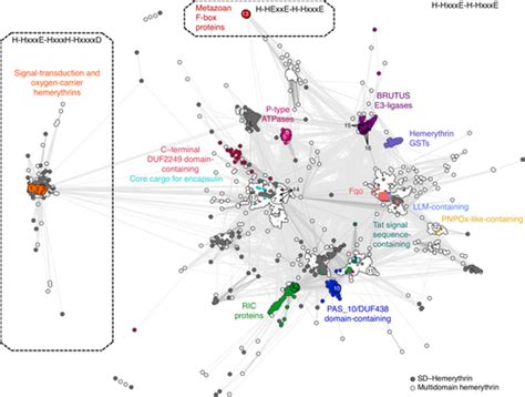 Structure, function and evolution of the hemerythrin‐like domain superfamily - Alvarez‐Carreño ...