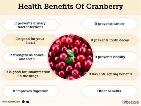 Cranberry Benefits And Its Side Effects | Lybrate