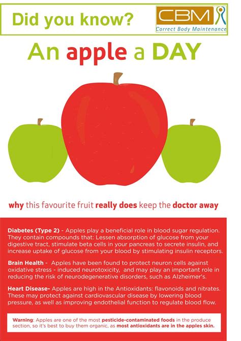 An Apple a Day | Correct Body Maintenance