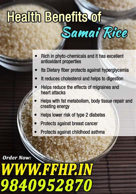 Health Benefits of Little Millet (Samai Rice)! Energy Help, Body Tissues, Reduce Cholesterol ...