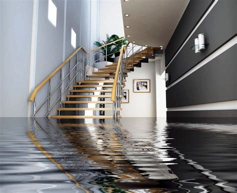 Protect Your Home from Water Damage | Youngs Insurance | Ontario