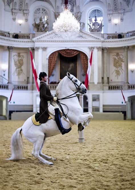 Spanish Riding School of Vienna – Flyinghorse