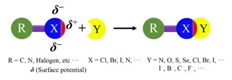 Halogen Bonds | Encyclopedia MDPI