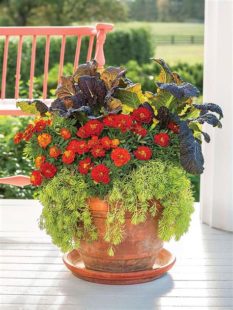 Fall in love with these fall container gardening ideas. — Reston Farm ...