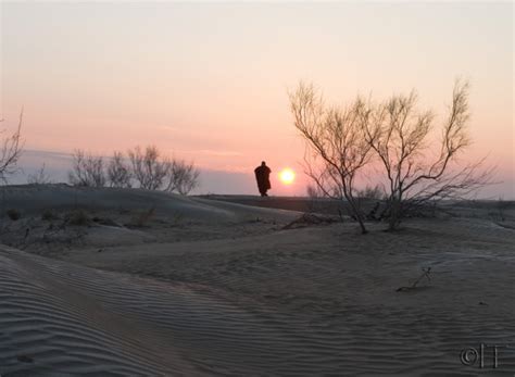 Turkmenistan. Karakum desert 3 - Landscape & Rural Photos - Photos...