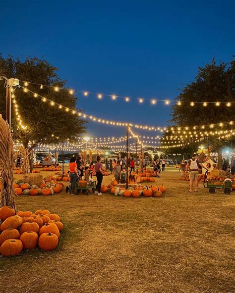 Enchanting Pumpkin Patch Night 🍁🎃 | Fun Fall Activities