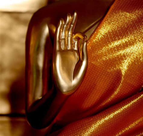 Common Mudras in Buddhism | Buddha's hand, Mudras, Meaning of buddha