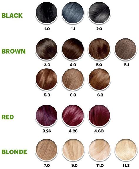 Garnier Olia Color Chart