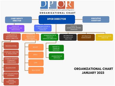 Organization Chart | Virginia Department of Professional and ...