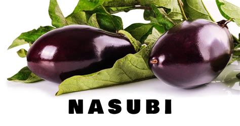 Nasubi the Contestant and the Japanese Reality Show That Destroyed His Life