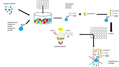 Luminex Multiplex Assay - Labinsights