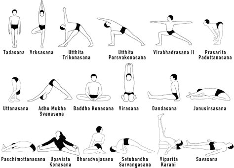 Yoga Asanas – Dr. Steven Greer